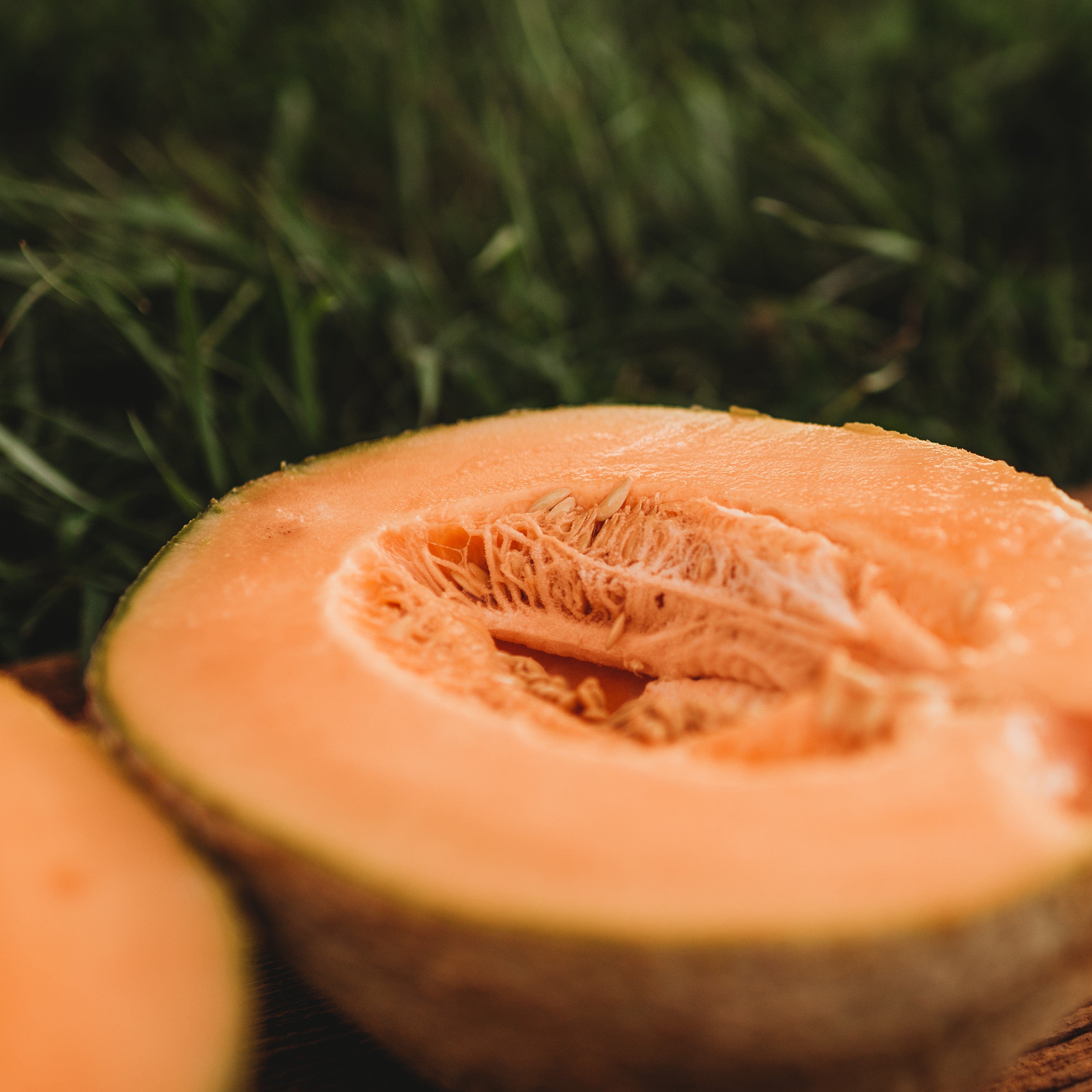 Pride of Wisconsin Muskmelon Seeds