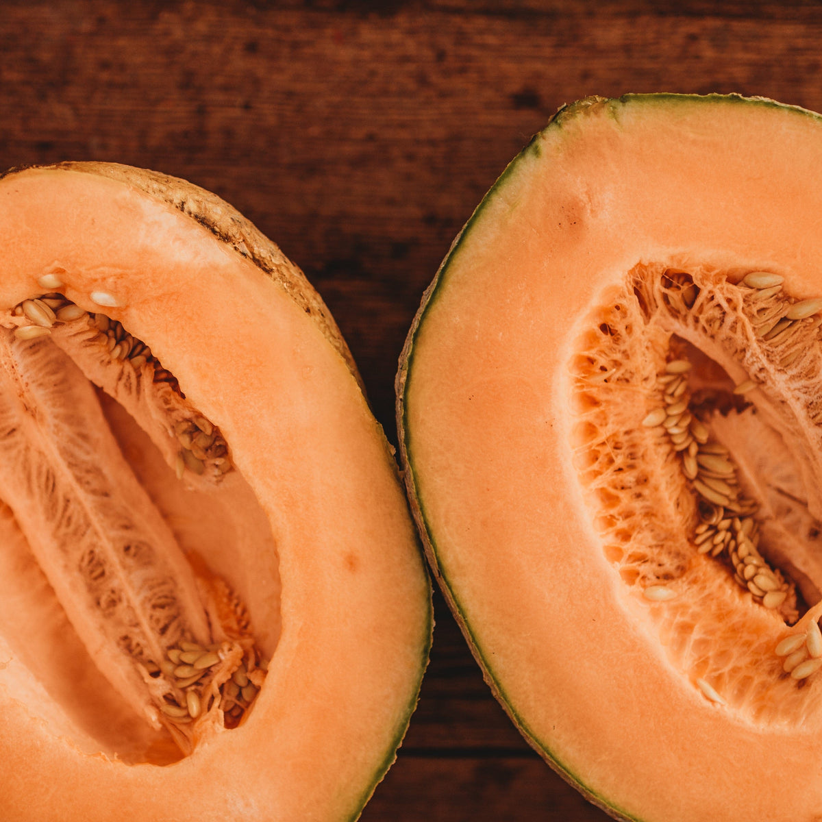 Wisconsin Seeds Pride of Wisconsin Melon - Thresh Seed Co.