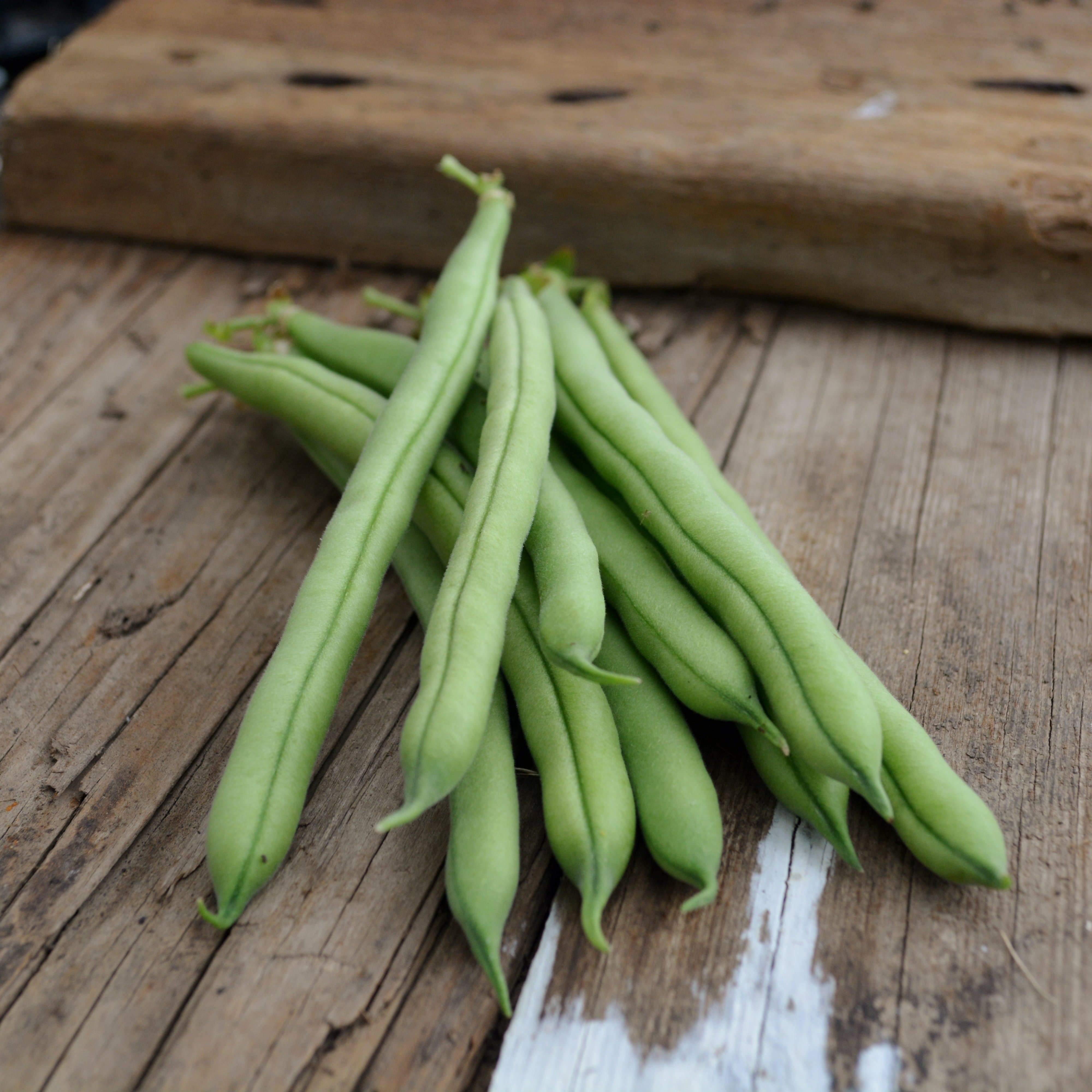 Provider Snap Beans