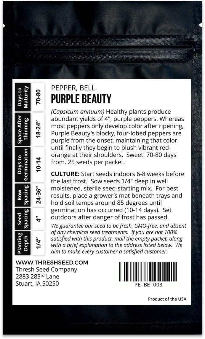 Purple Beauty Bell Pepper Seeds
