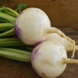 Purple Top White Globe Turnip Seeds