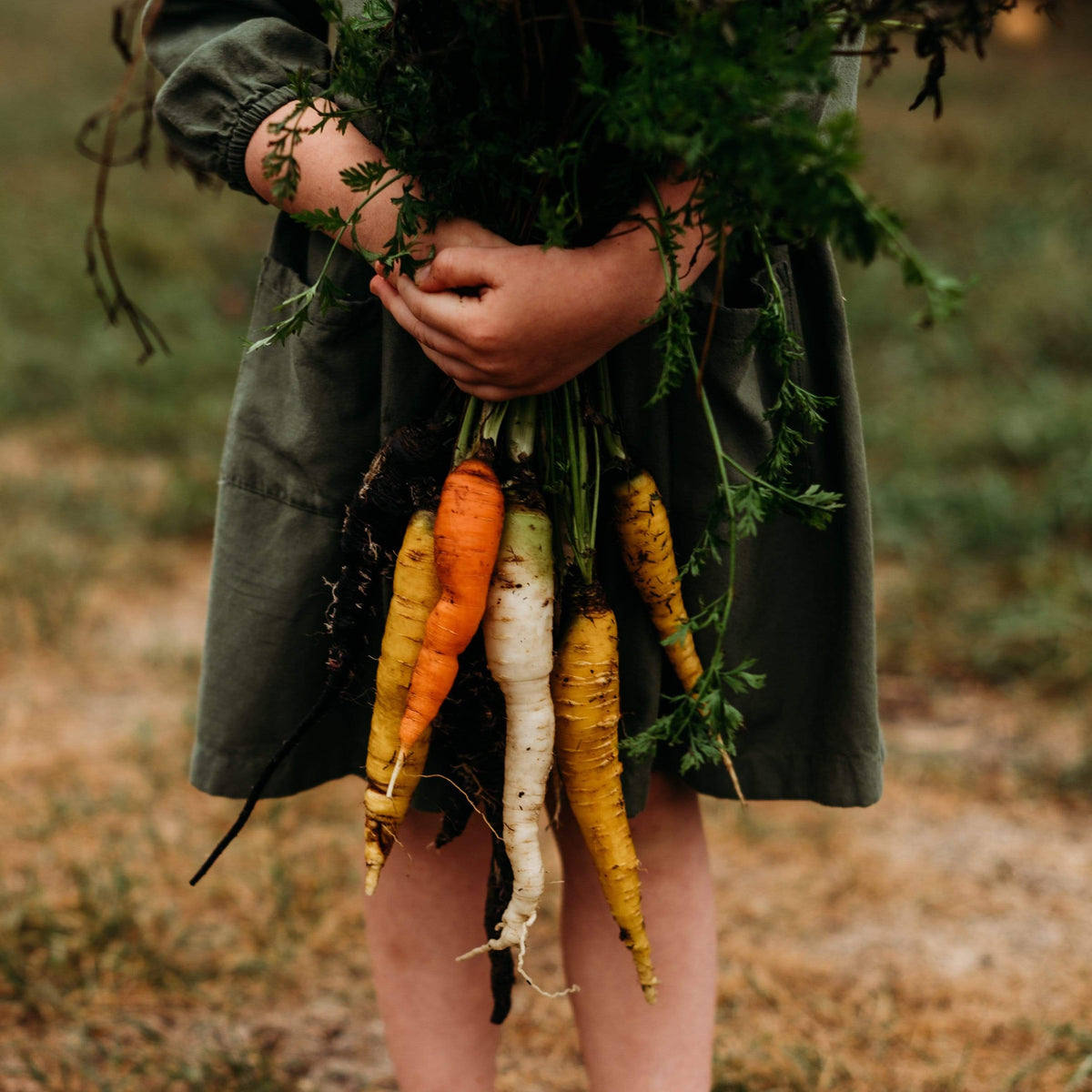 Rainbow Carrot Mix