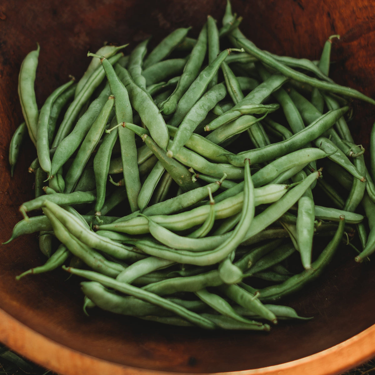 Ram&#39;s Horn Half-Runner Bean