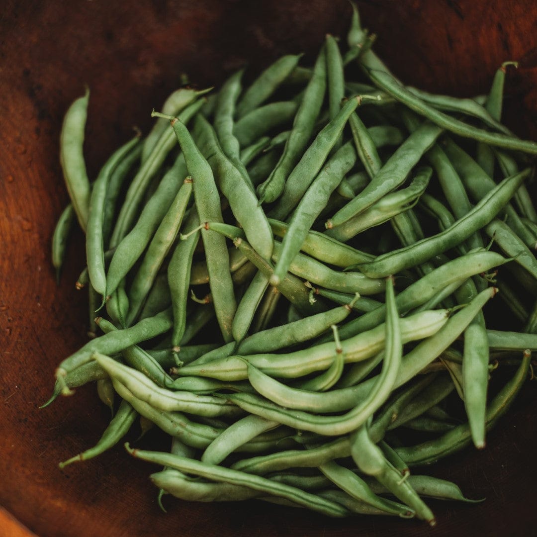 Ram&#39;s Horn Half-Runner Bean