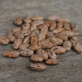 Rattlesnake Snap Pole Green Bean Seeds