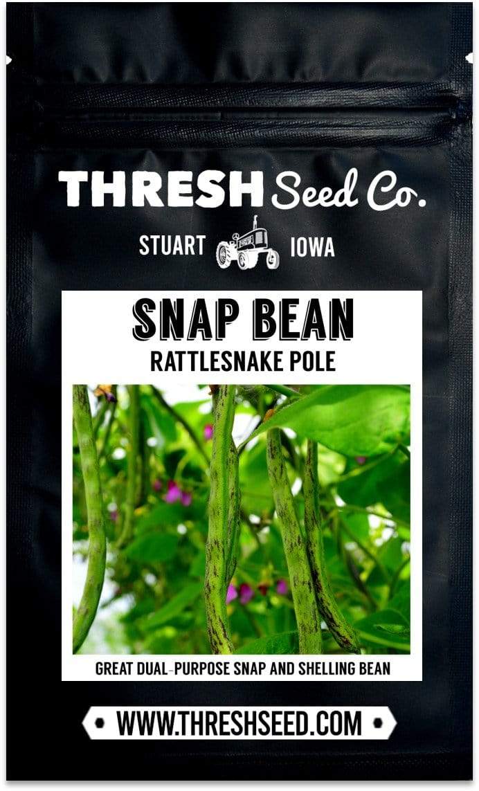 Rattlesnake Snap Pole Green Bean Seeds