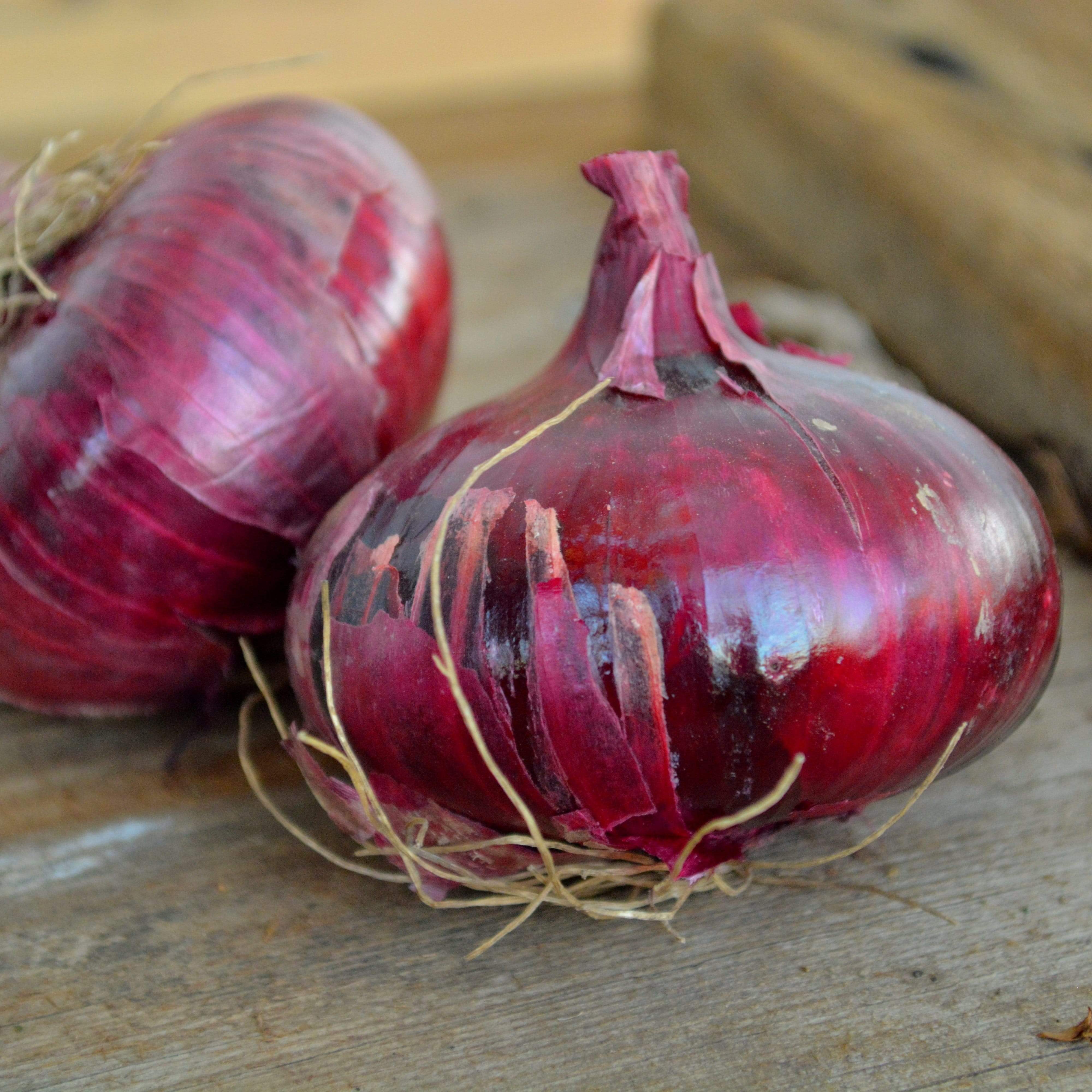 Red Cipollini Onion Seeds