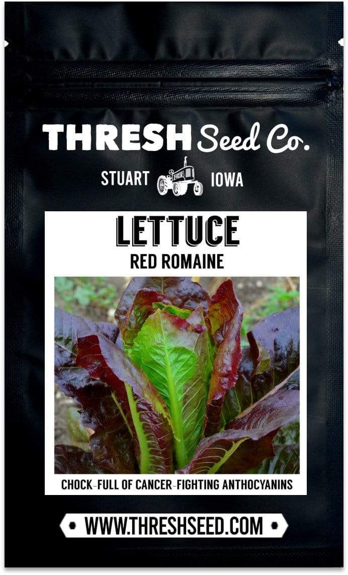 Red Romaine Lettuce