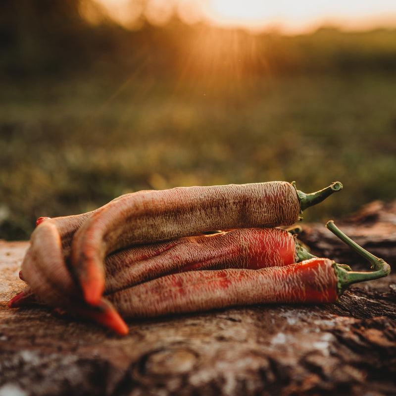 Rezha Macedonian Pepper (Vezeni Piperki)