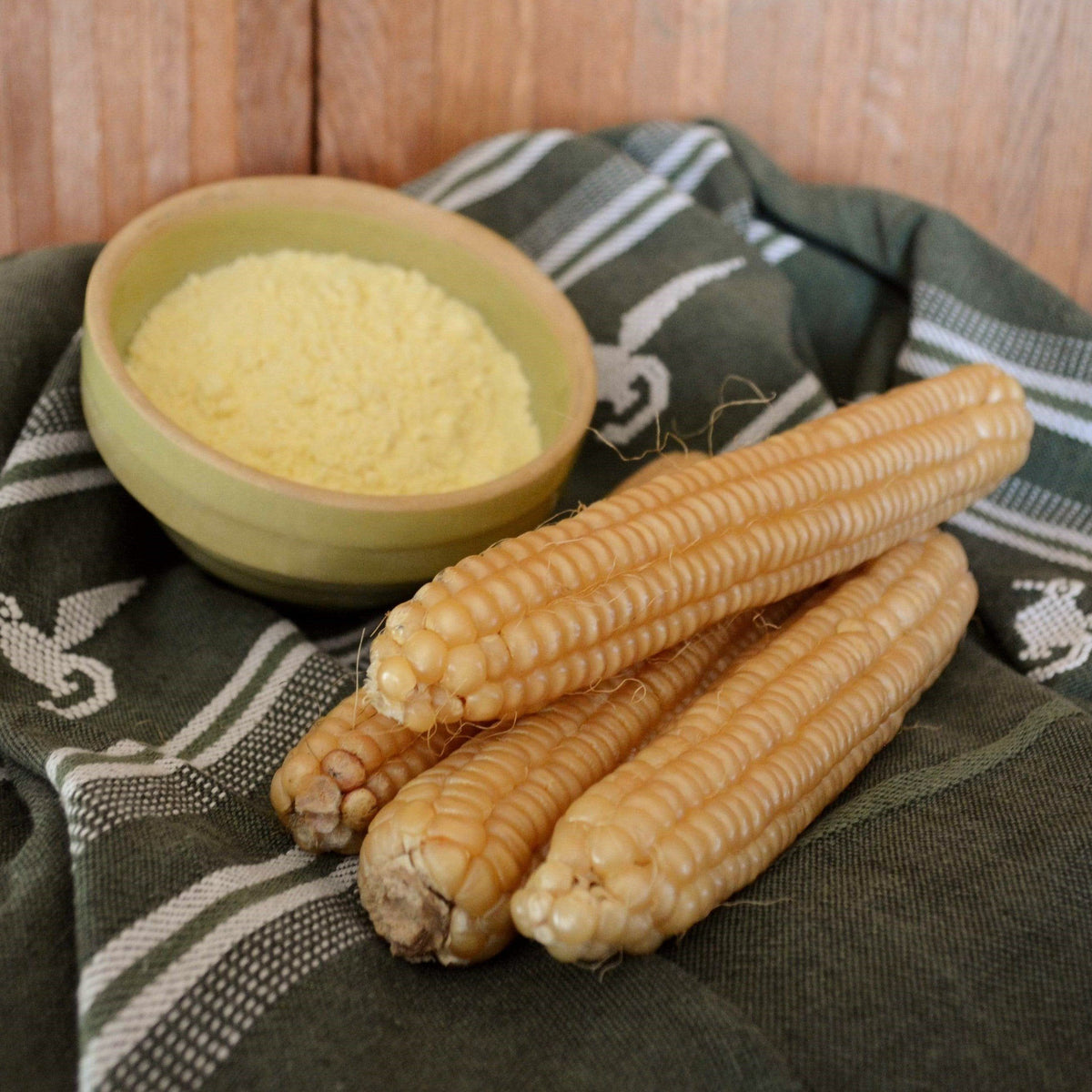 Rhode Island White Cap Flint Corn