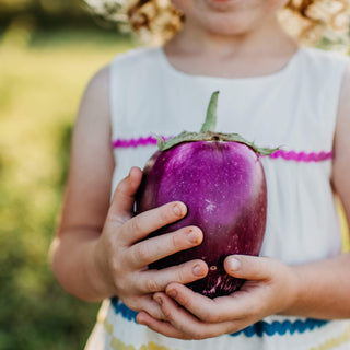 Rosita Eggplant