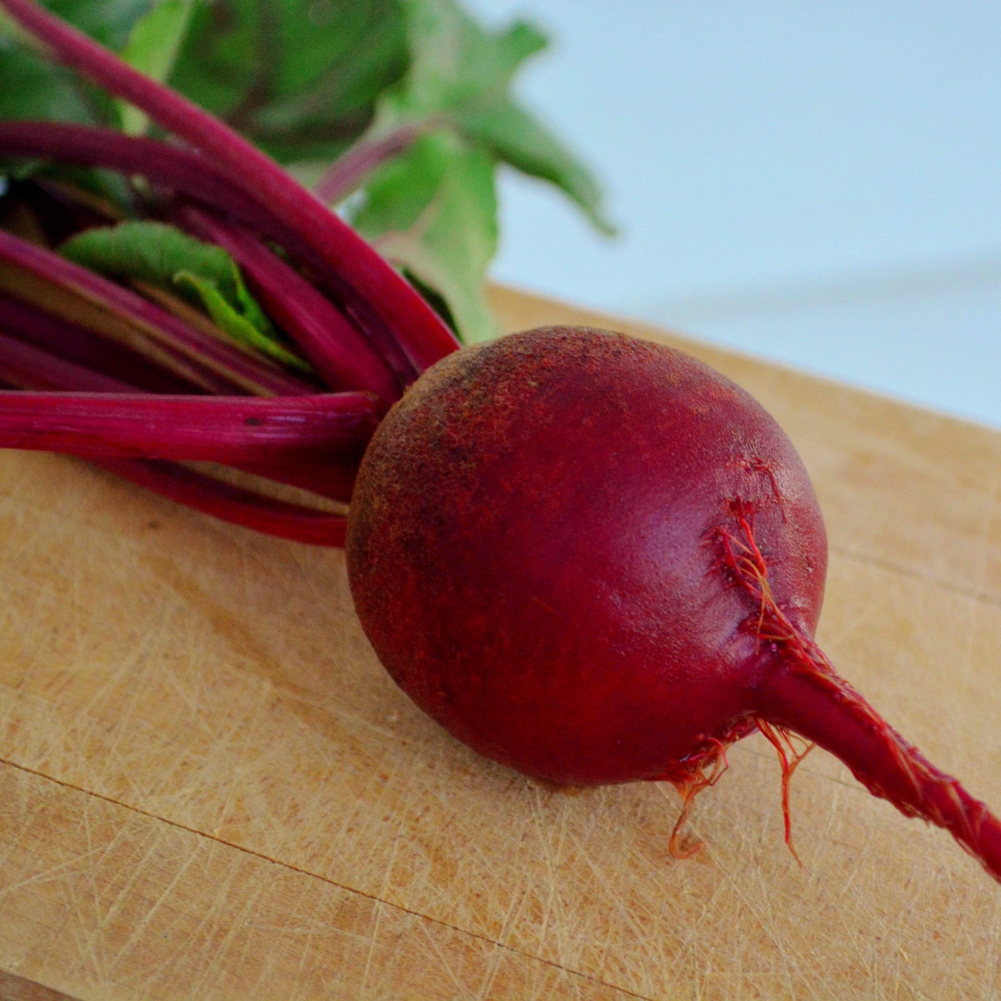 Ruby Qween Ruby Queen Beet - Thresh Seed Co.