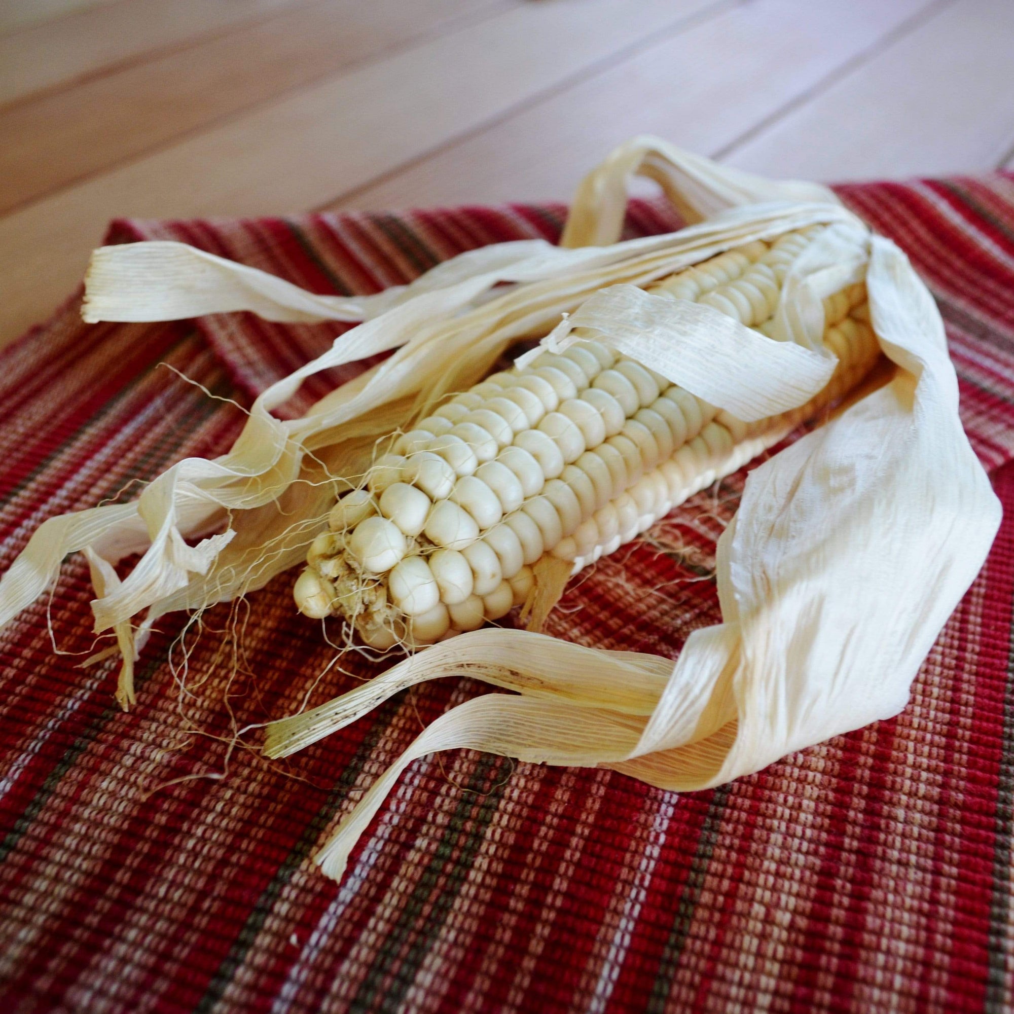 Sallu-yah Cherokee Native American Corn