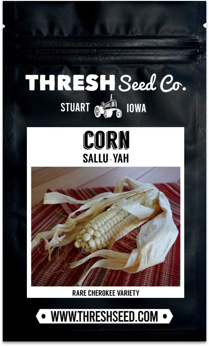 Sallu-yah Corn Seeds