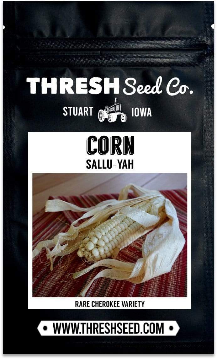 Sallu-yah Cherokee Native American Corn