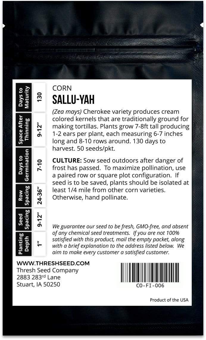 Sallu-yah Cherokee Native American Corn