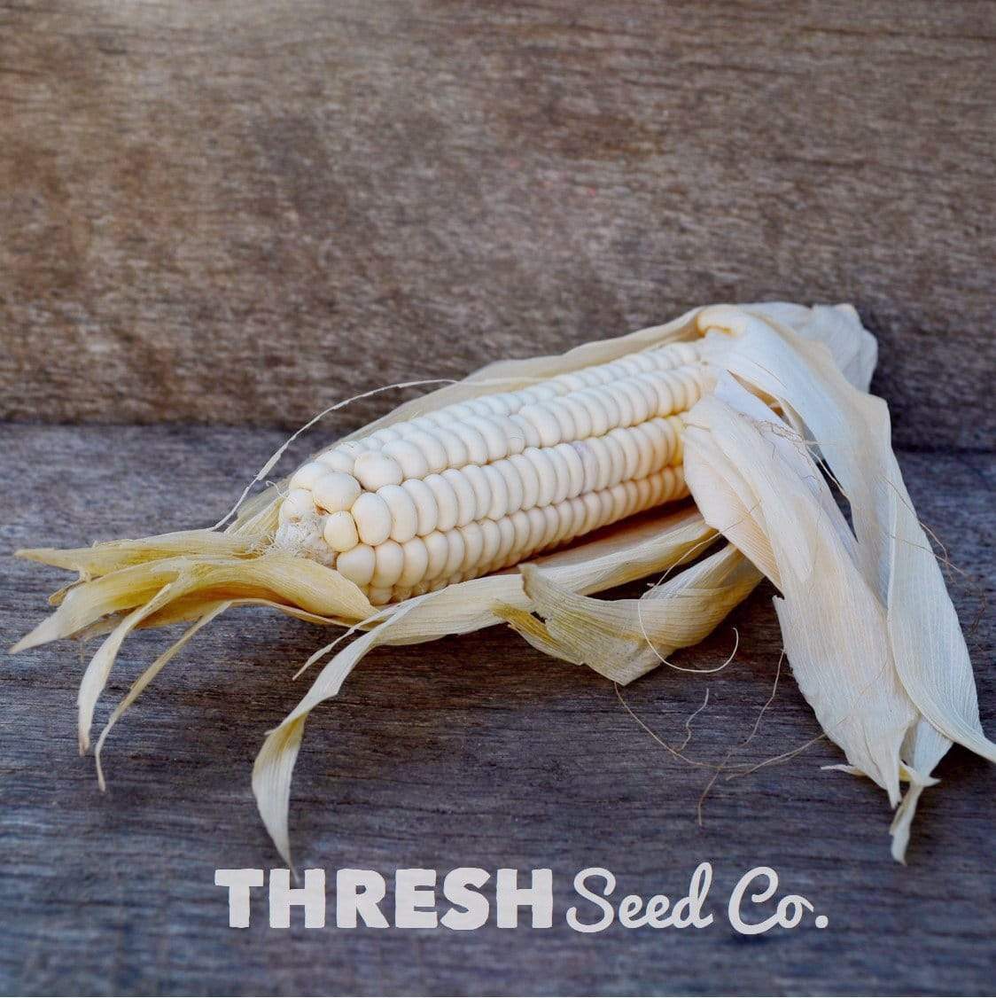 Sallu-yah Cherokee Native American Corn