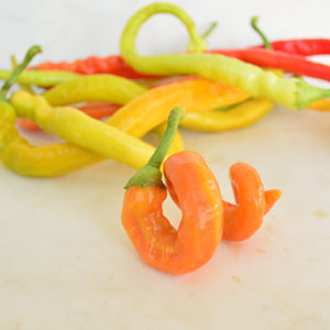 Sari Sivri Corbaci (Yellow Sweet) Pepper