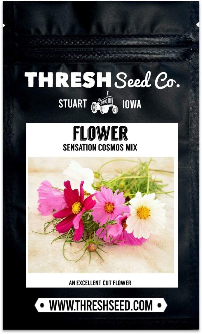 Sensation Cosmos Mix Seeds