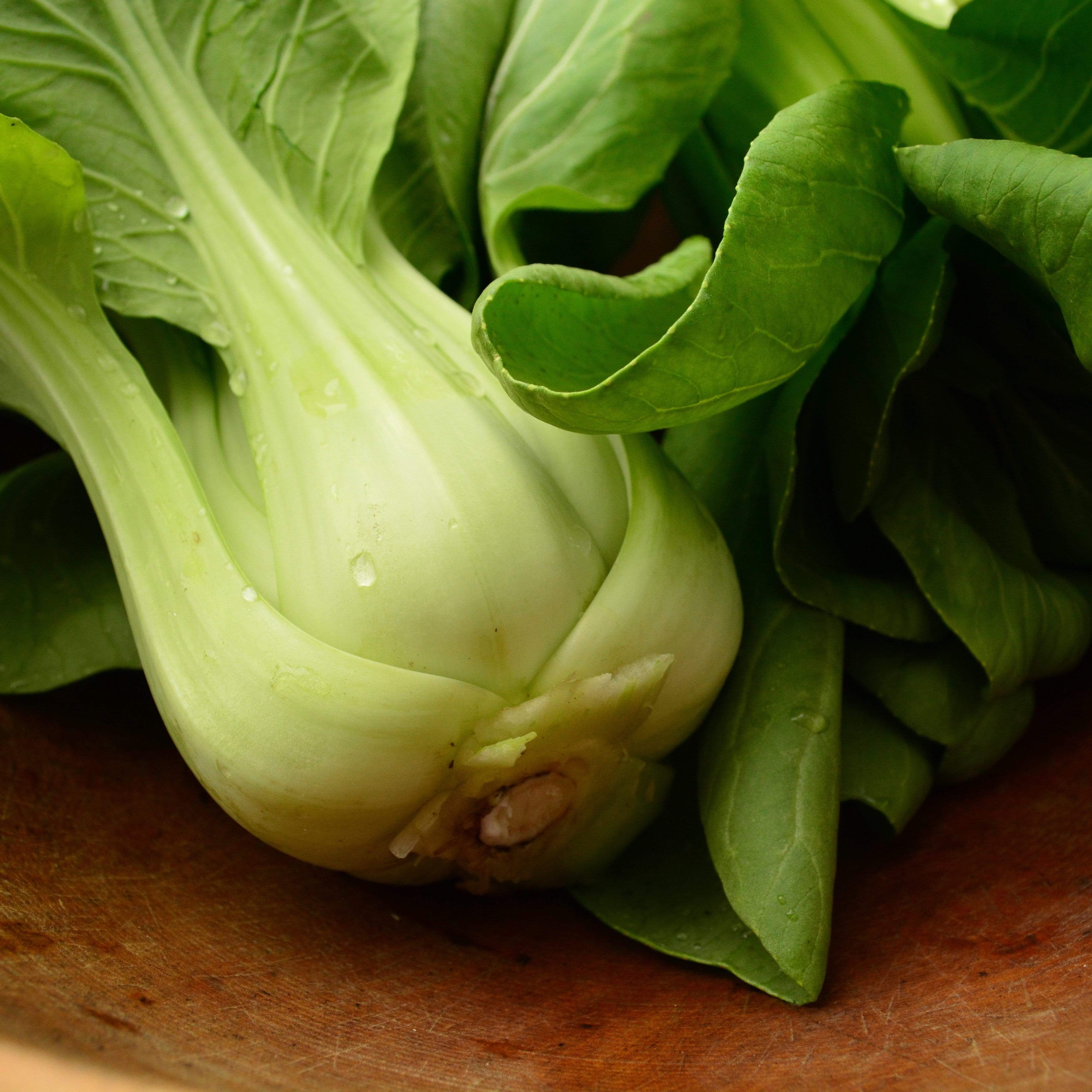 Shanghai Green Pac Choi (Bok Choy) Seeds