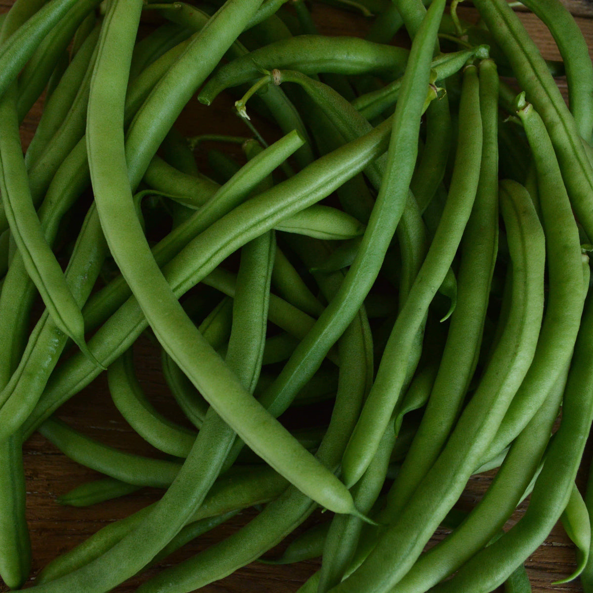 Slenderette Snap Green Bean