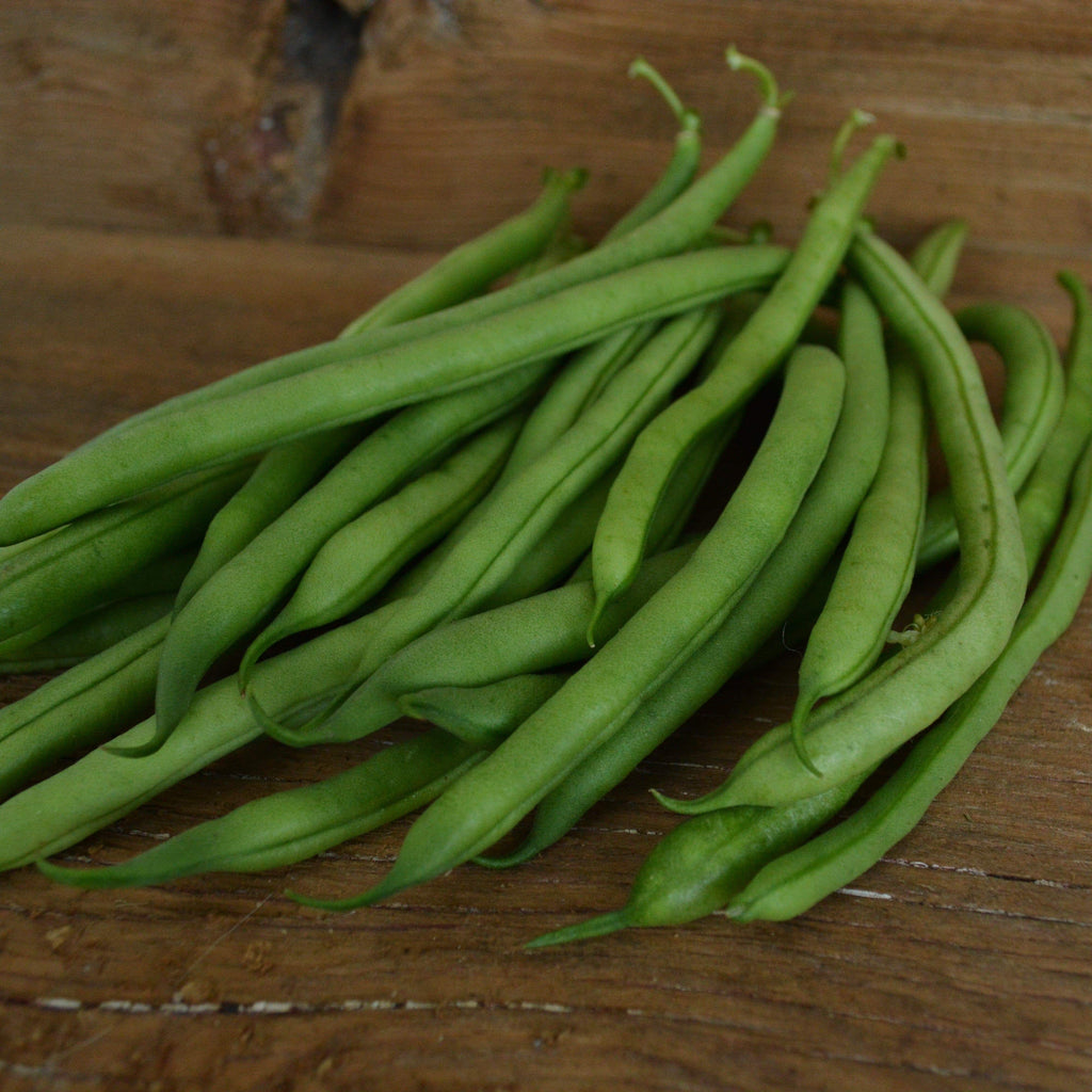 Slenderette Snap Bean Seeds