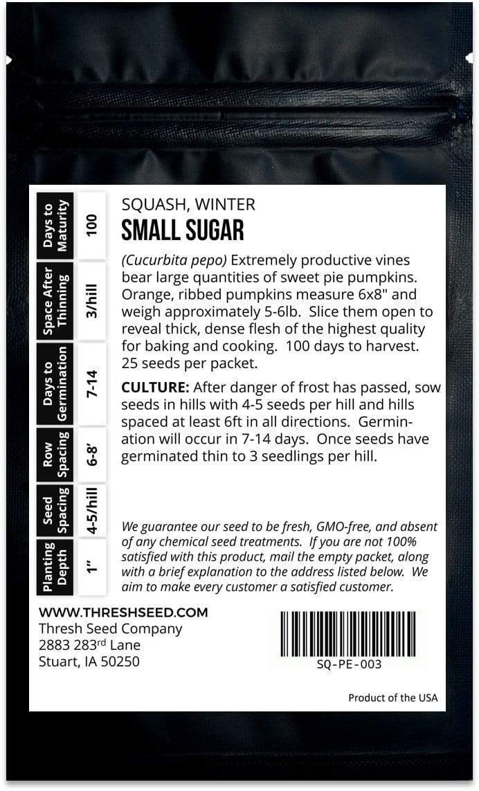 Small Sugar Pumpkin Seeds