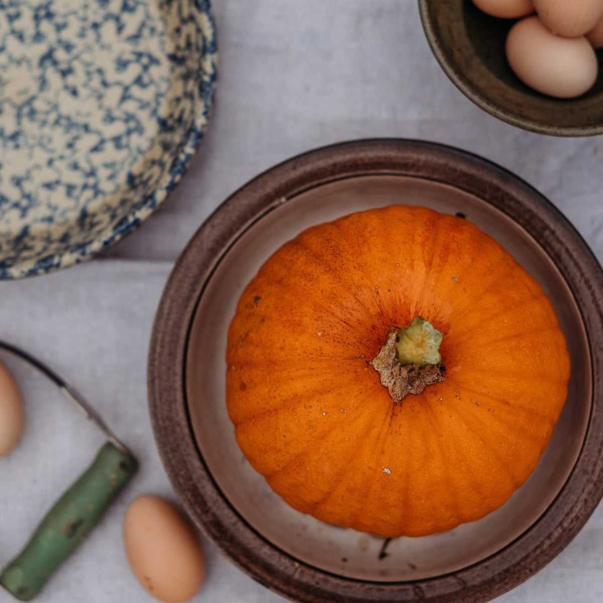 Small Sugar Heirloom Pie Pumpkin