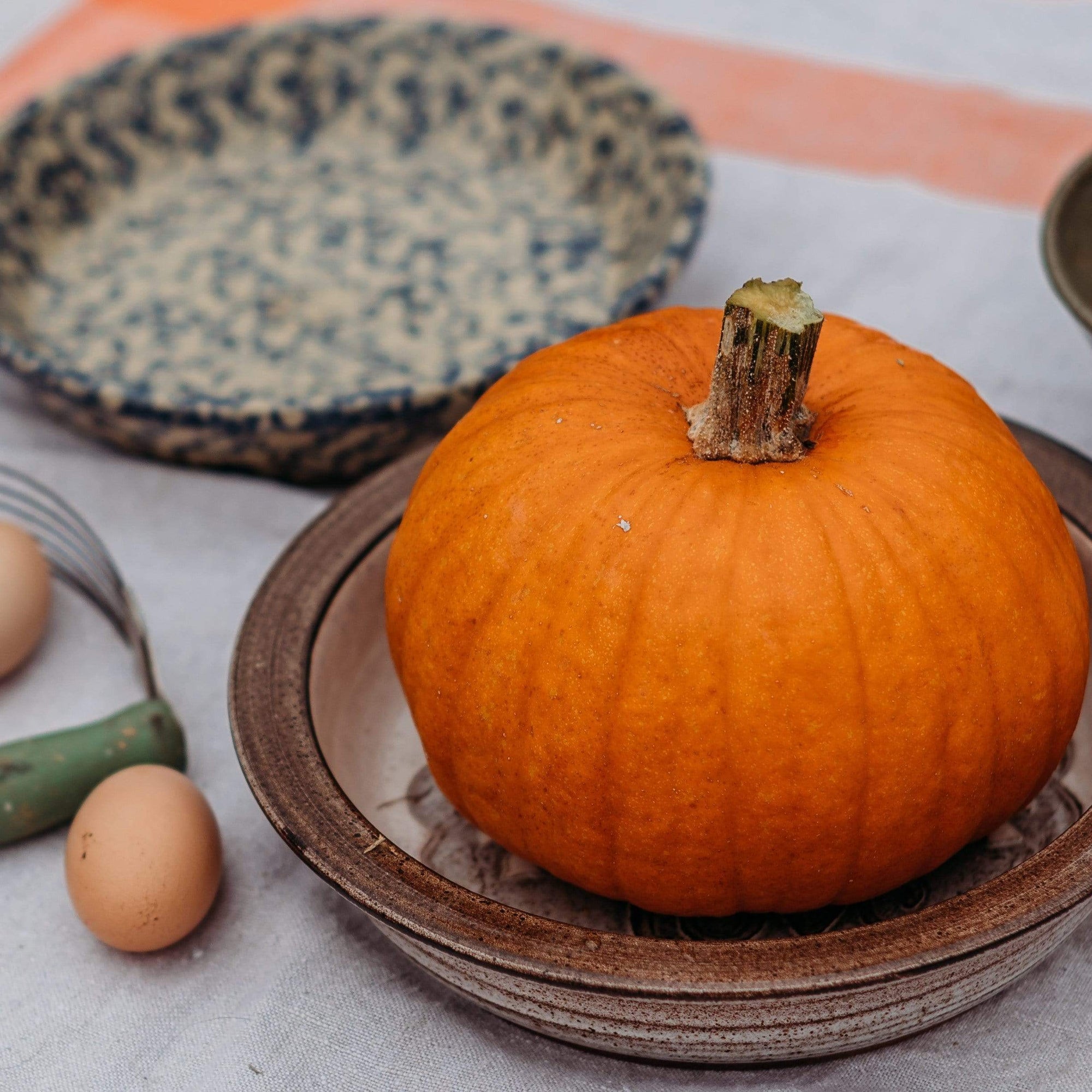 pie pumpkin seeds for planting Small Sugar Pie Pumpkin, Packet (25 Seeds)