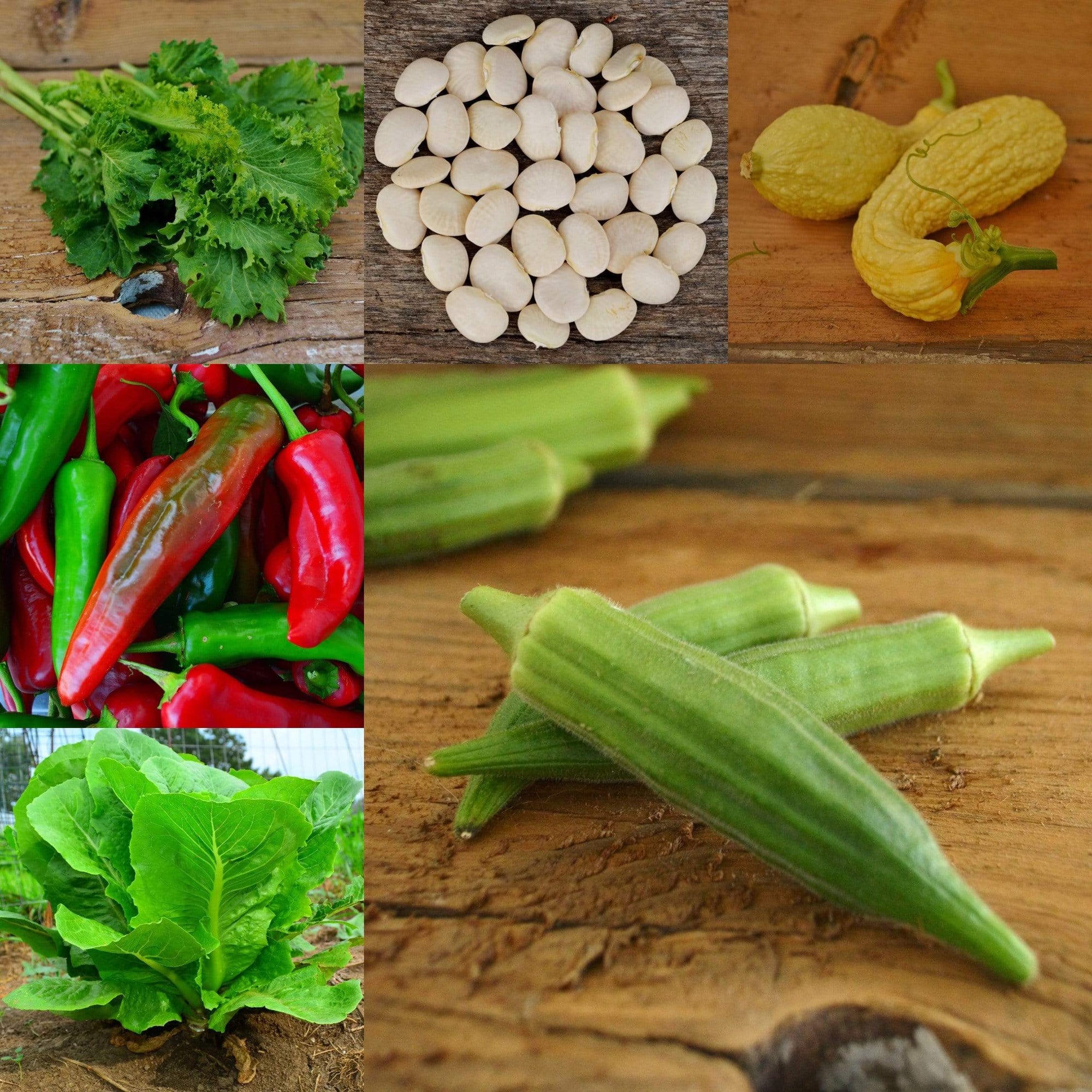 southern garden seeds Southern Garden Collection