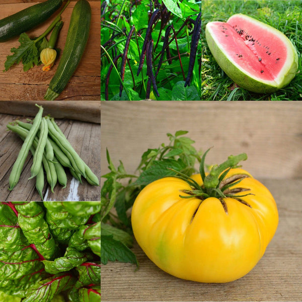 southern states garden seeds Southern Garden Collection