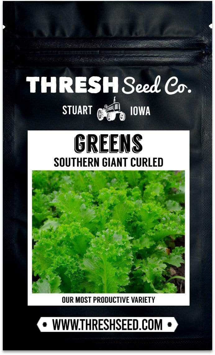 Southern Giant Curled Mustard Seeds