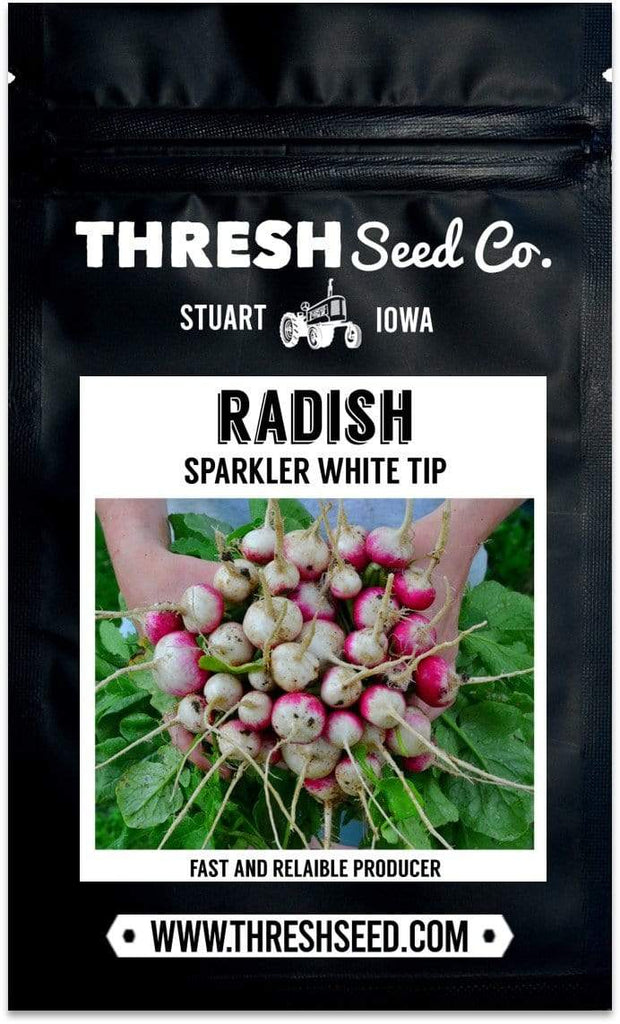Sparkler White Tip Radish Seeds