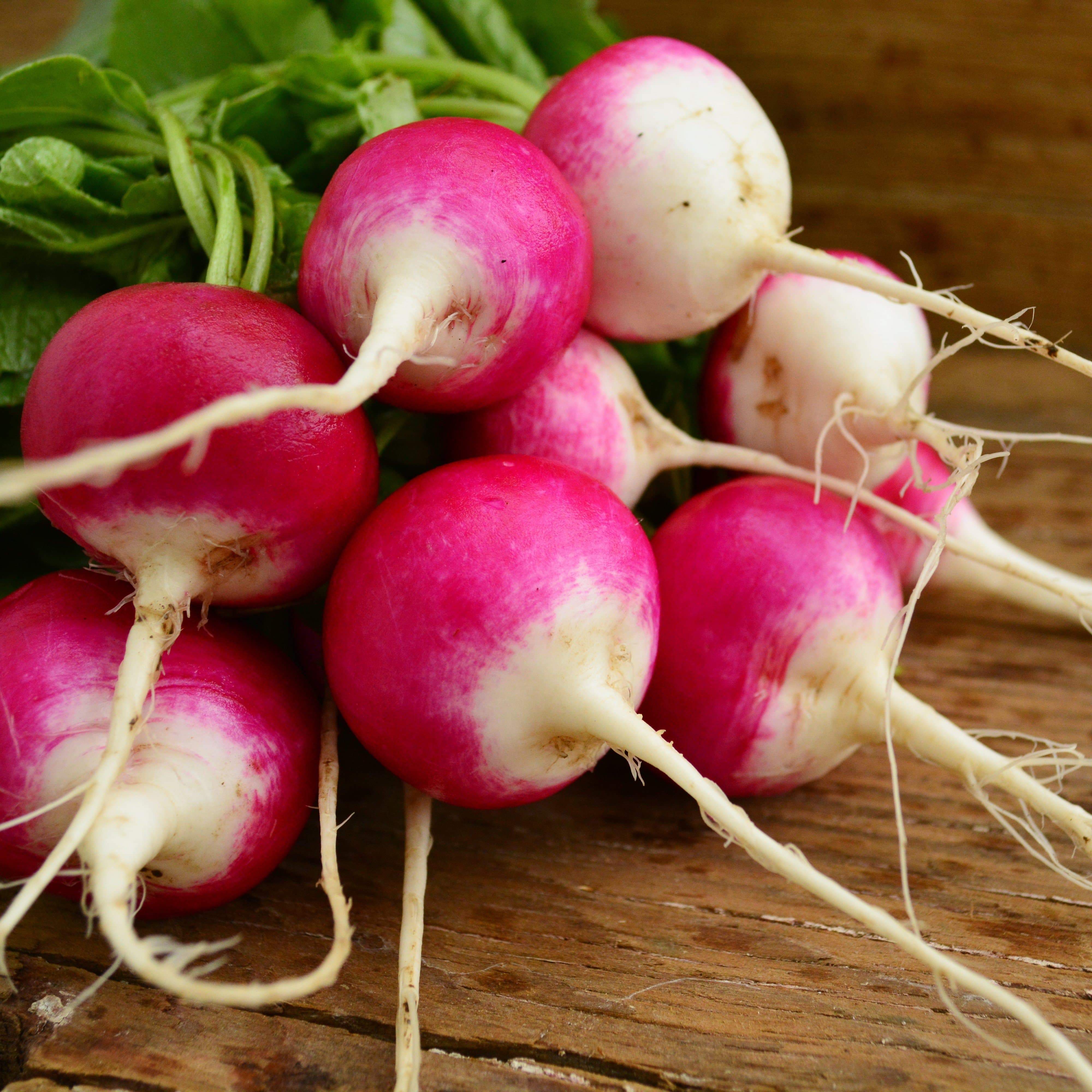 Sparkler White Tip Radish Seeds