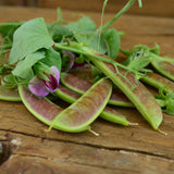 Spring Blush Sugar Snap Pea Seeds