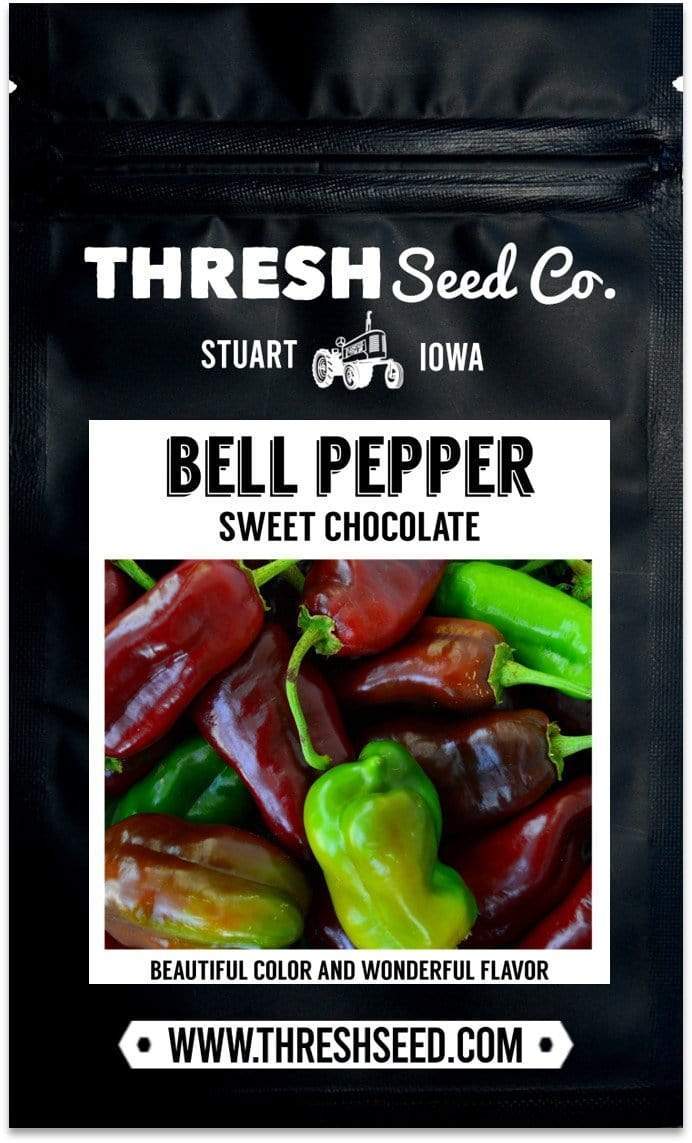 Sweet Chocolate Bell Pepper Seeds