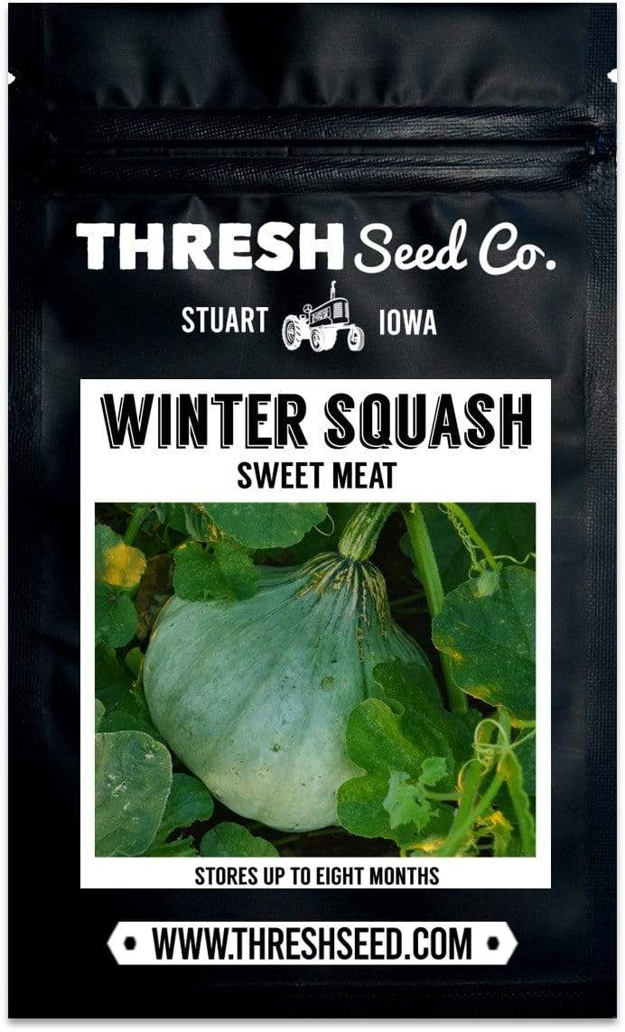 Sweet Meat Squash