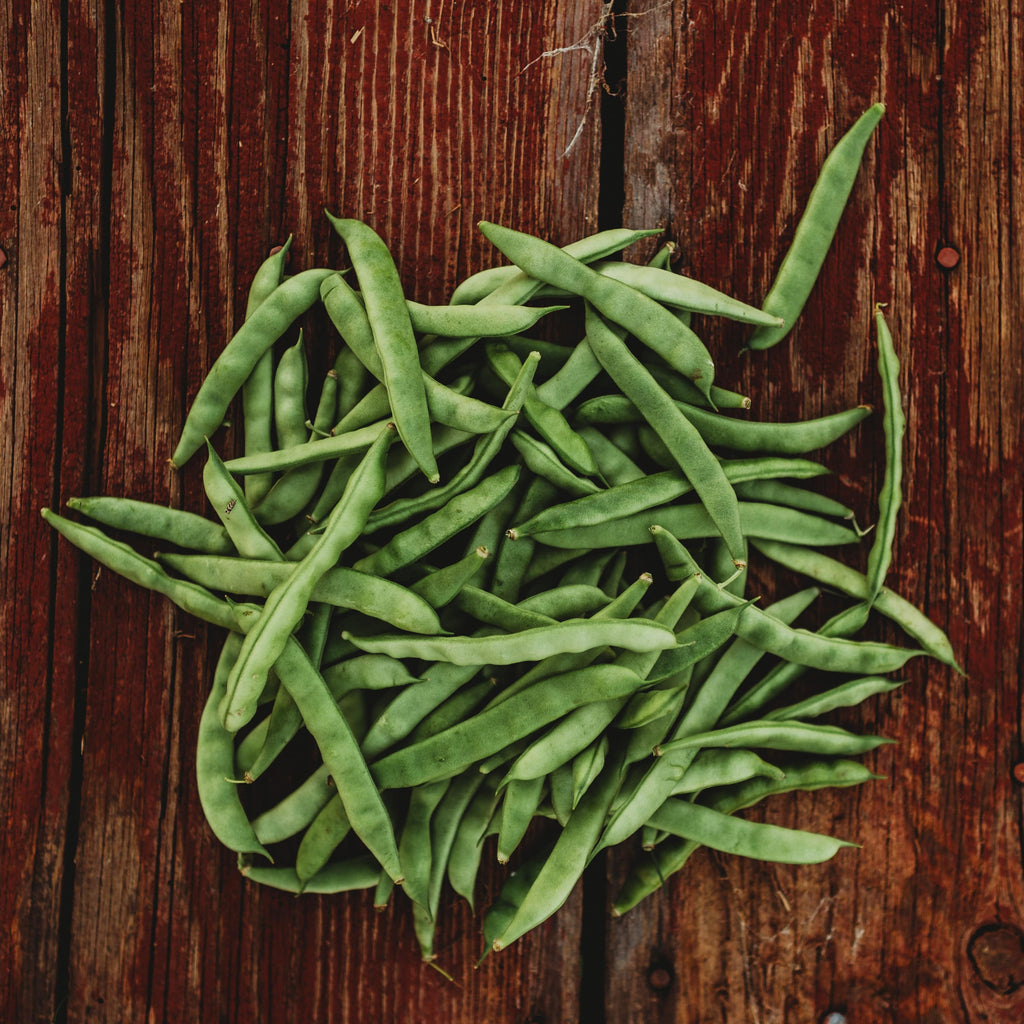 Tar Heel Pole Snap/Green Bean Seeds