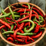 Tatli Kil Sivri (Sweet Sivri) Pepper Seeds