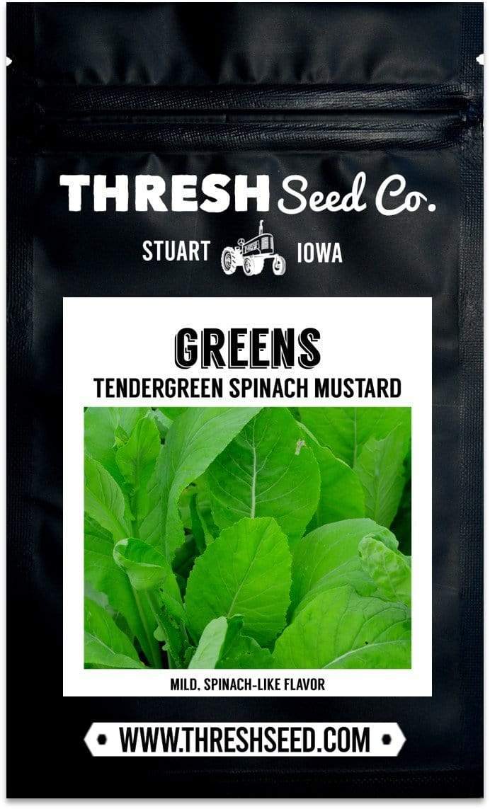 Tendergreen Spinach Mustard (Komatsuna)