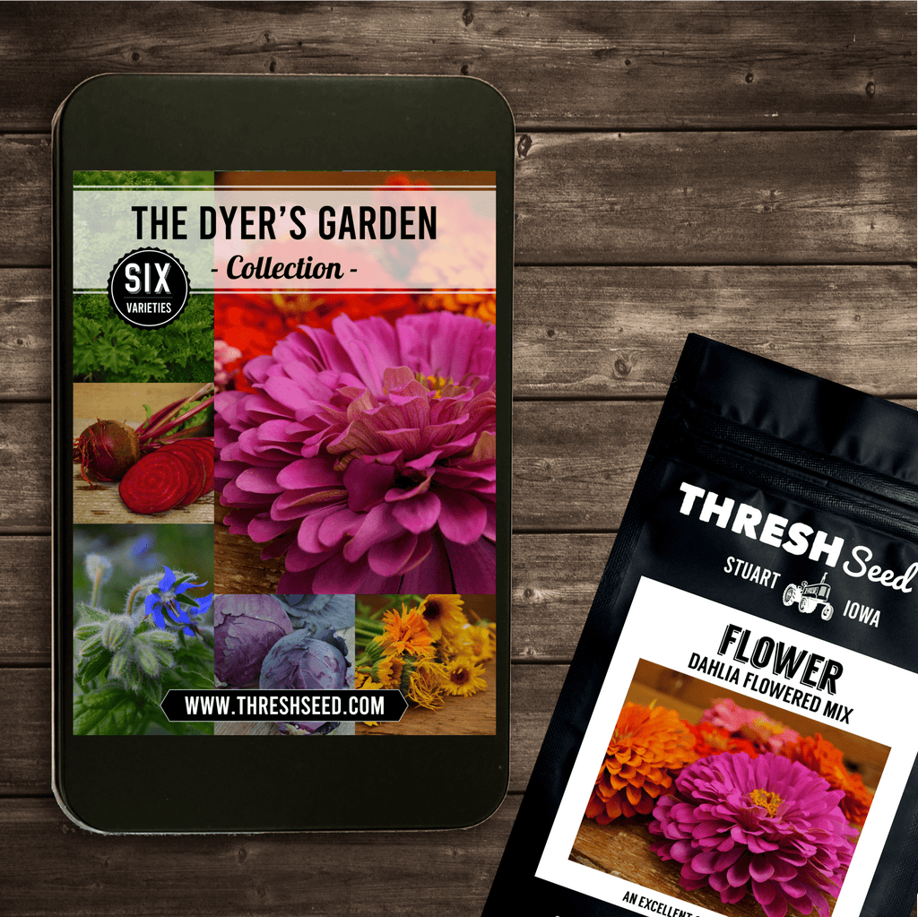 The Dyer's Garden Collection Seeds