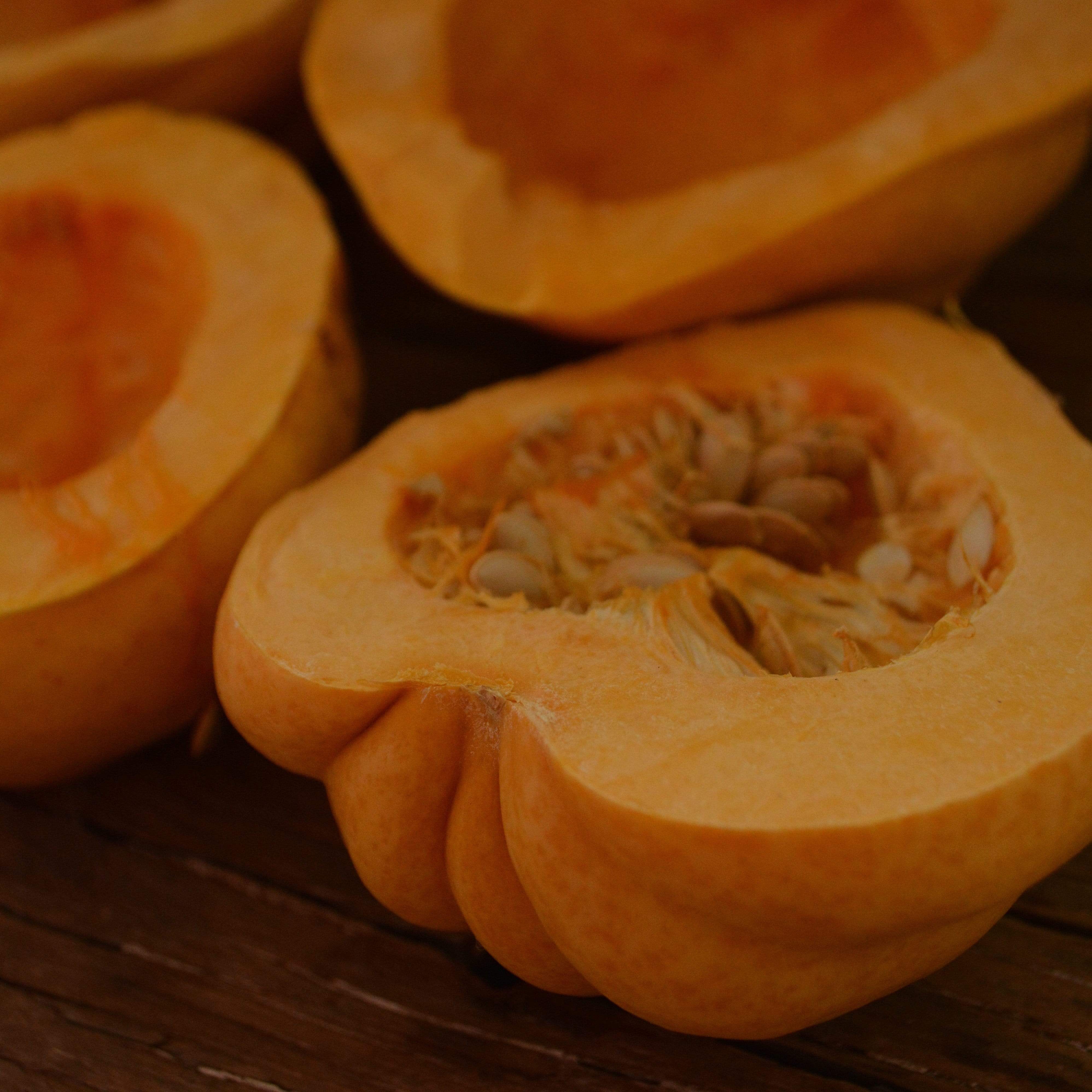 Thelma Sanders Acorn Squash Seeds