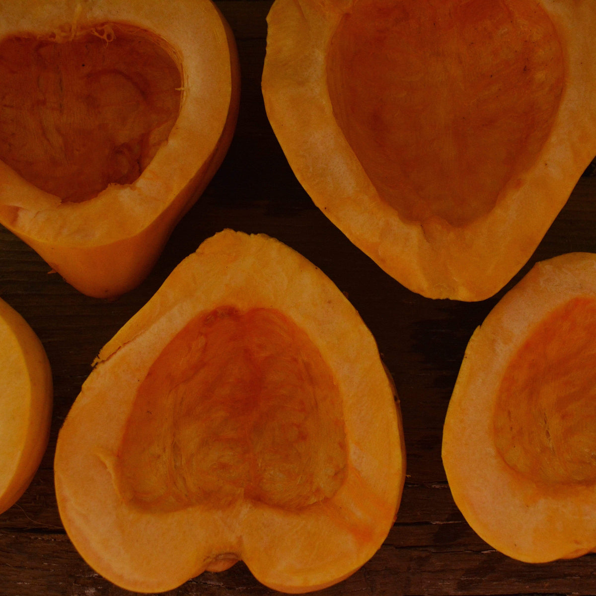 Thelma Sanders Acorn Squash