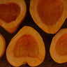 Thelma Sanders Acorn Squash