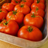 Thessaloniki Tomato Seeds