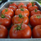 Thessaloniki Tomato Seeds