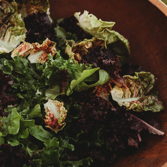 Heirloom Cutting Lettuce Mix