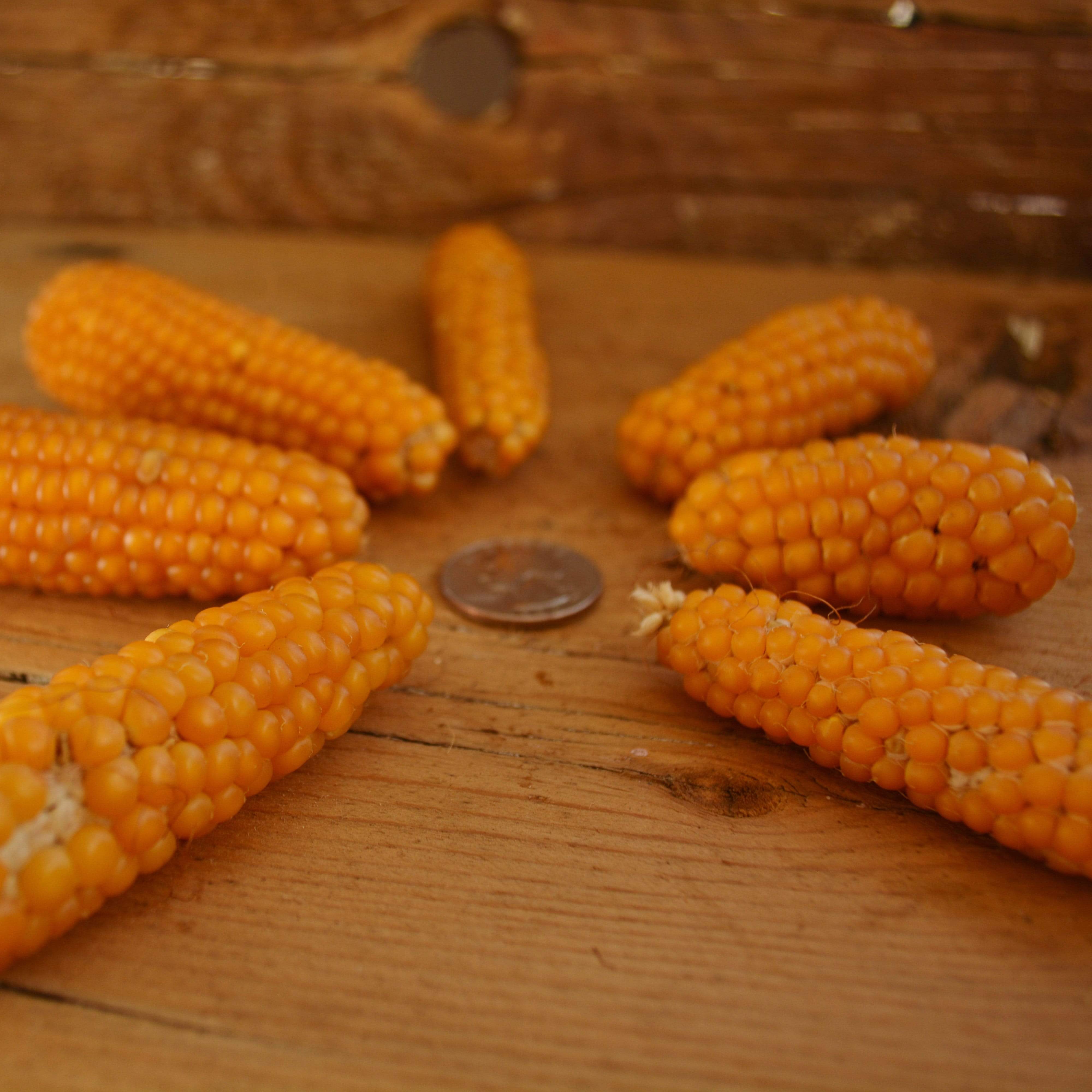 Tom Thumb Popcorn