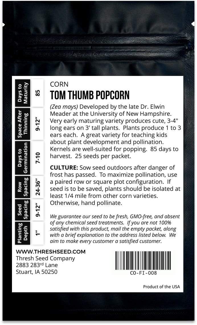 Tom Thumb Dwarf Popcorn
