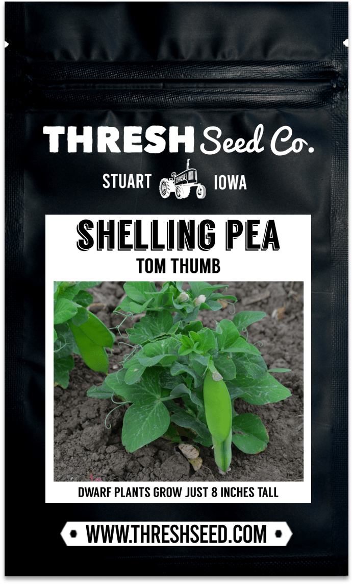 Tom Thumb (Half-Pint) Dwarf Shelling Pea